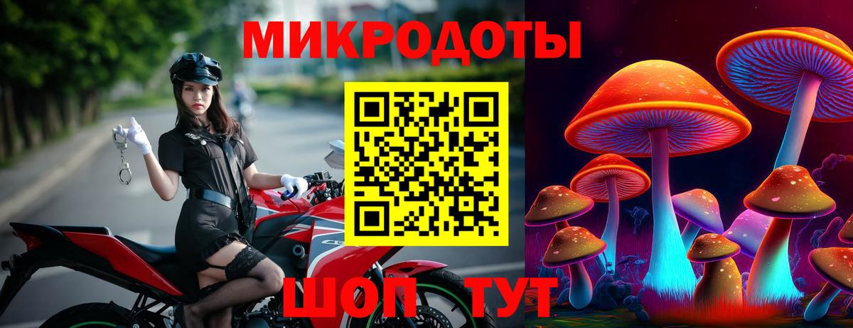 Бошки Шишки Саранск