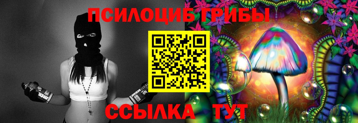 Саранск  Галлюциногенные грибы Cubensis  Вход с VPN 