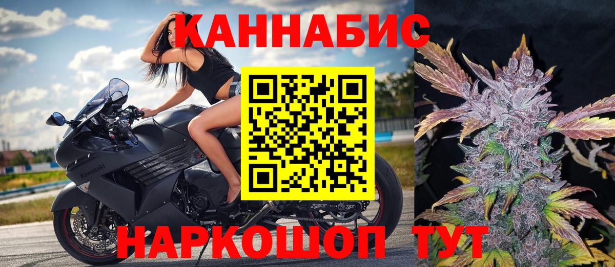 Конопля Bruce Banner Саранск